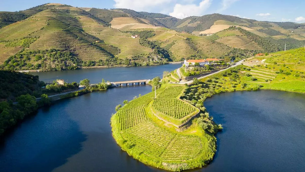 La historia del vino en la Ribera del Duero: lo que debes saber